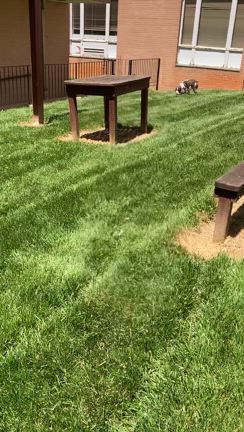 今度はダーリンが？！の記事動画