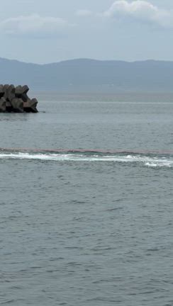 鹿児島グルメ道の駅&物産館の記事動画