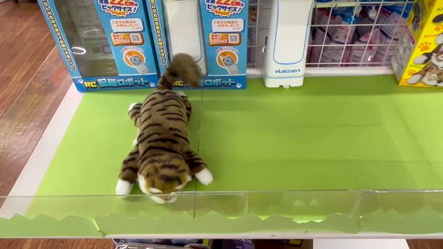 明日チラシが入ります！ペット雑貨もお買い得です！９月２６日の記事動画