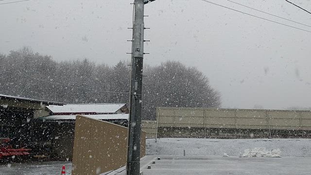 予算特別委員会　最終日の記事動画