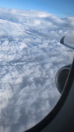 １１月末の記事動画