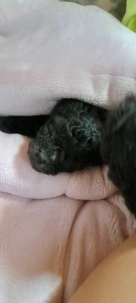 スクスク、成長中の記事動画