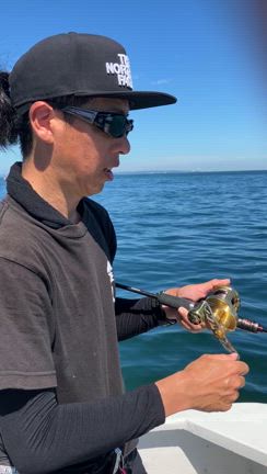 真鯛❗️絶好調❗️の記事動画