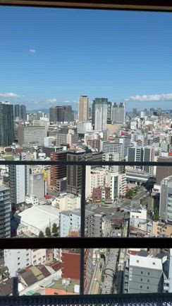 大阪日帰り旅行♪その2〜通天閣→公園バーベキューの記事動画