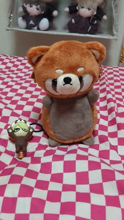 おしゃべりレッサーパンダ♥の記事動画