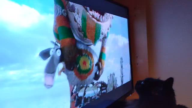 譲渡会とシェリー君の幸せ便りの記事動画