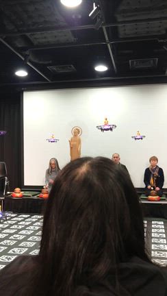 ドローン佛の記事動画