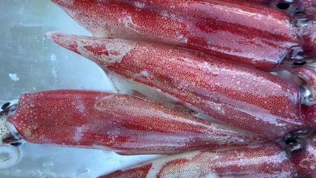 13日の記事動画