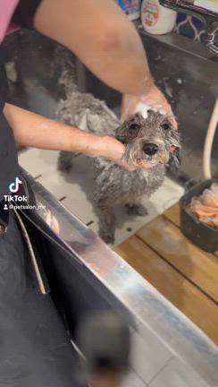 りあんくんの動画の記事動画