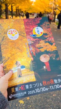 黄葉・紅葉まつり&秋の夜散歩。の記事動画