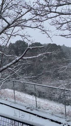 積もっちゃったな〜(^-^;の記事動画
