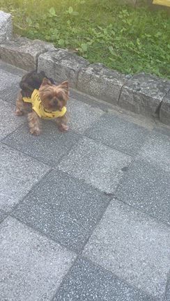 改めて、、、毎月誰かの不祥事は発覚する。。の記事動画