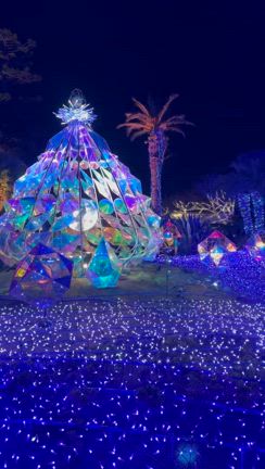 湘南の宝石の記事動画