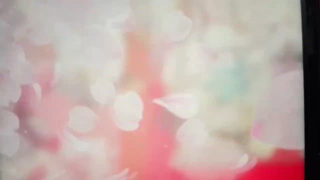 作品展の記事動画