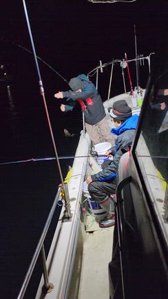 令和7年1月23日仲丸釣果の記事動画