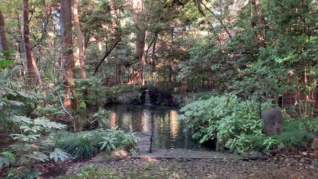武蔵国一の宮 大宮氷川神社の記事動画