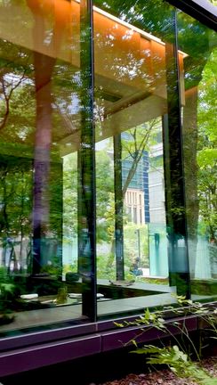 ●アマン東京「ザ・カフェ　bｙアマン」にてテラスランチ（東京・大手町）の記事動画