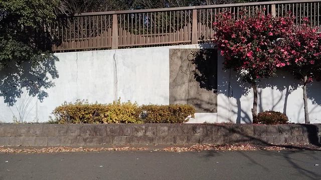 GARMINの接地時間から速くなるヒントが見つかります②　「フルマラソンで成長したい」125の記事動画