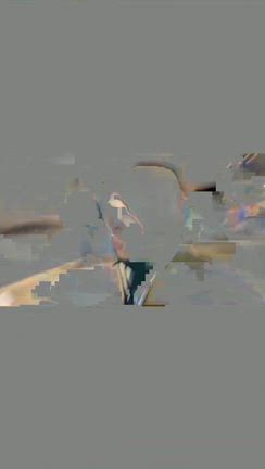 APEC2025は京都での記事動画