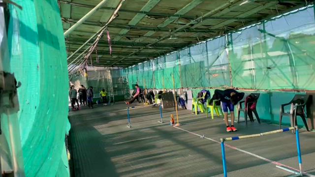 雨天練習場にヤギ？の記事動画