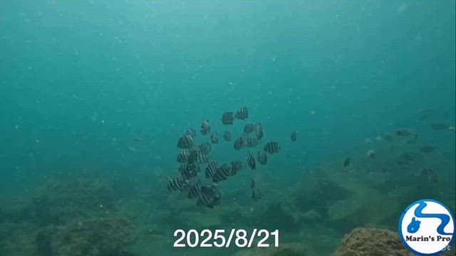 2025/08/22の記事動画