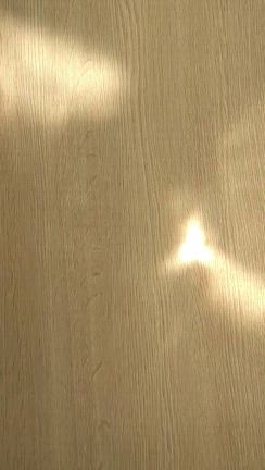 次は何を…？の記事動画