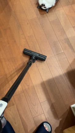 月食満月を前にの記事動画