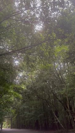 伊勢リトリート✨✨✨の記事動画