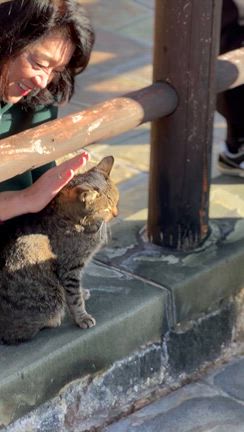 第39回PearlyRoseツアー 「佐賀・長崎2泊3日の旅」③の記事動画