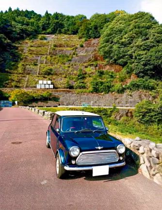 ミニちゃんの記事動画