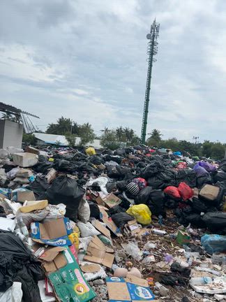 11/3(月)@横田の記事動画