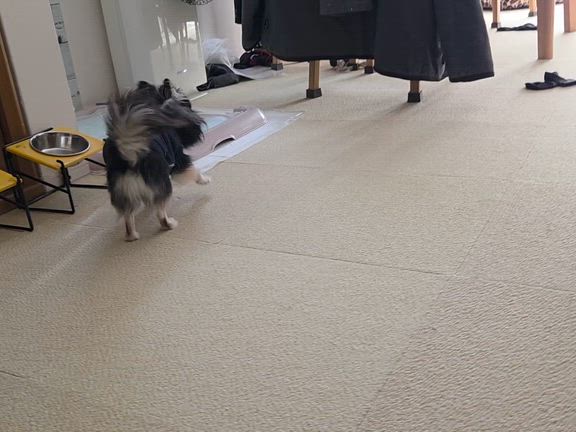 《いちご》《さとる》綺麗さっぱりの記事動画