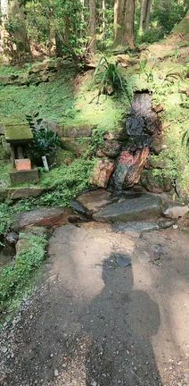 新たなスタートですか?御岩神社参拝いたしました!の記事動画