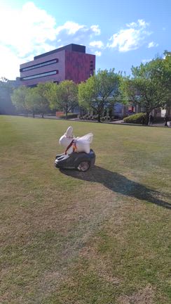 始動しました。の記事動画