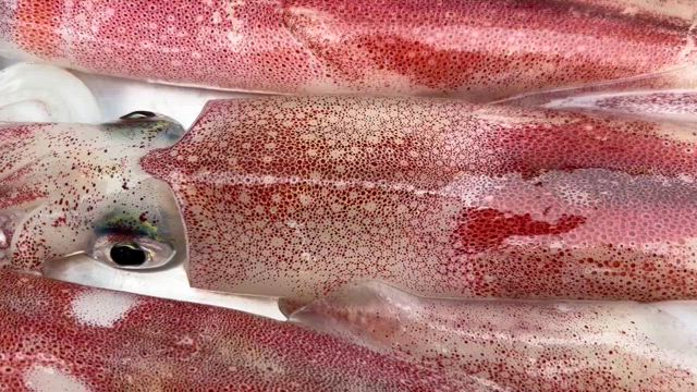 30日の記事動画