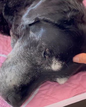 2024/06/13の記事動画