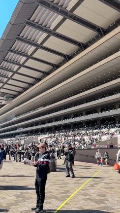 初競馬、全滅でしたの記事動画