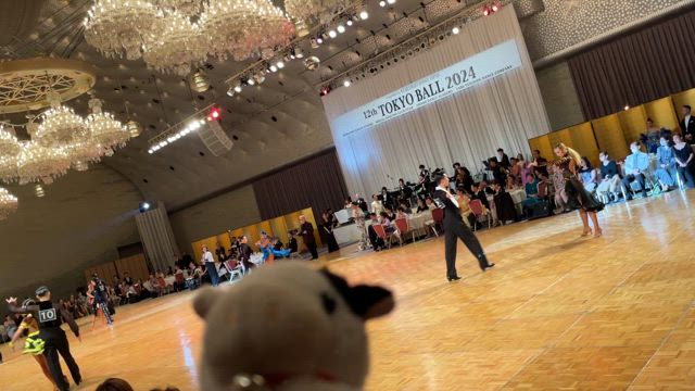 パーティー踊る牛【音が出ます】の記事動画