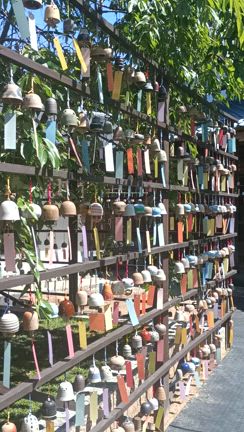 昨日の続きですの記事動画