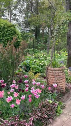 雑草取りのスパイラルの記事動画