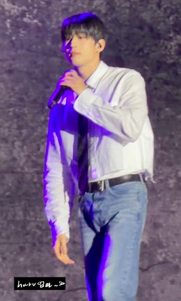 タイ2日目の記事動画