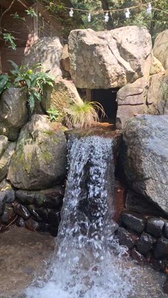 日本一の丁寧さ！椿大神社を再訪！の記事動画