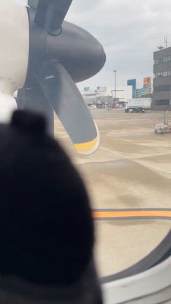 プロペラ機怖かったの記事動画