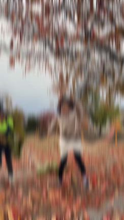 マウント姉弟と秋の散歩。の記事動画