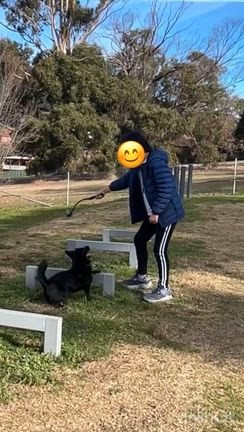 リスゴー｜エンデバー公園 オフ リーシュ エリアの記事動画