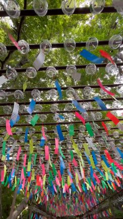 暑中お見舞い申し上げます2025の記事動画