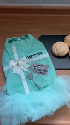 美夜＆たまたま＆ペットメモリアルの記事動画