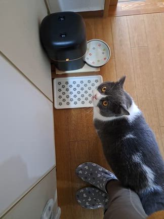 2月2日(月)いつもの朝の記事動画