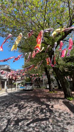 500匹の鯉のぼりと可愛いクマの御朱印❤️熊野町熊野神社/板橋区の記事動画
