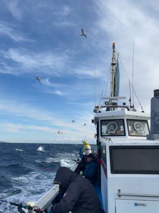 寒サバヤリイカリレー：寒サバの塩焼きの記事動画